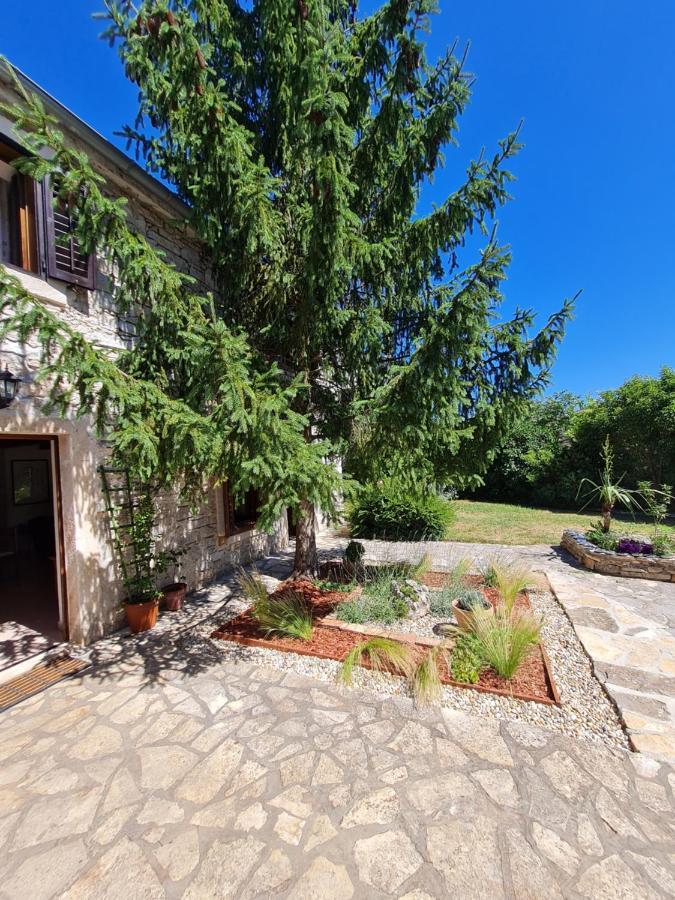 Stonehouse Ana With Jacuzzi Rovinj-Krmed Villa Exterior photo